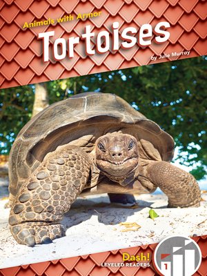 cover image of Tortoises